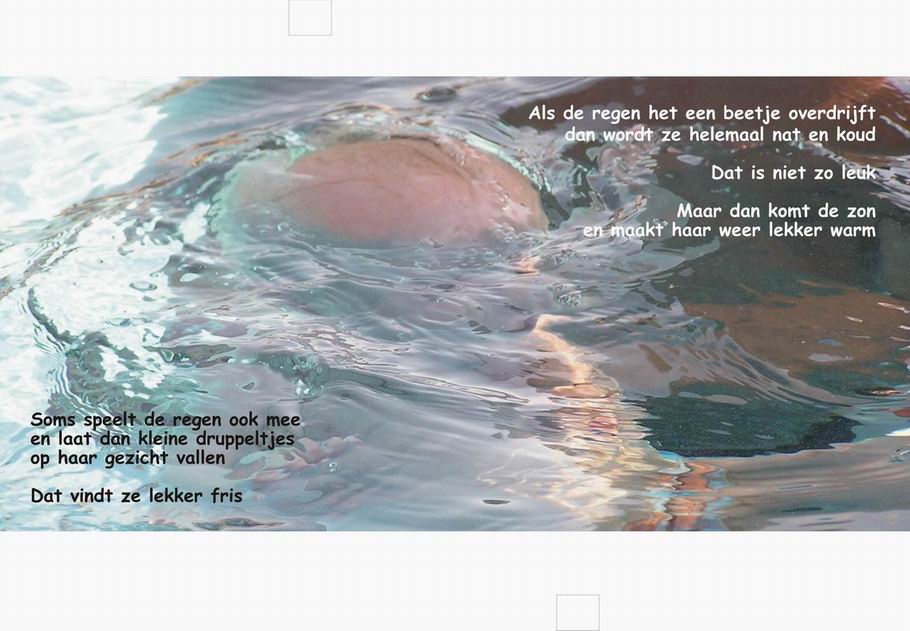 pag02.jpg